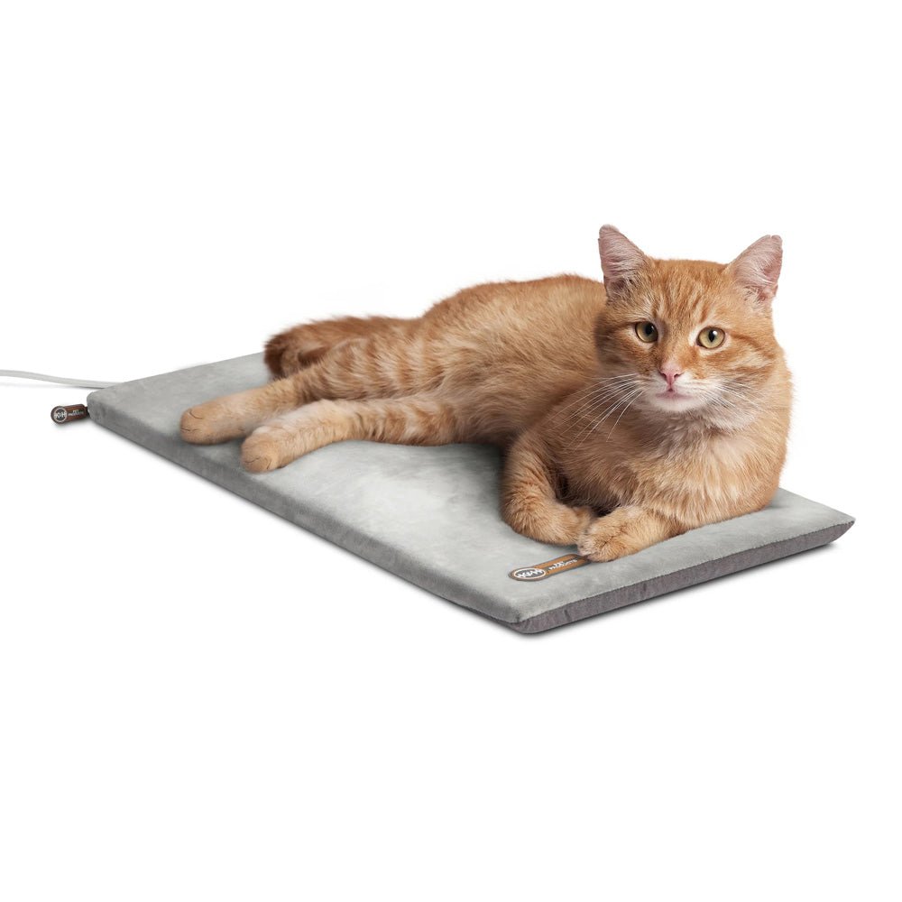Heated Cat Mat Setup: Safety & Care Tips