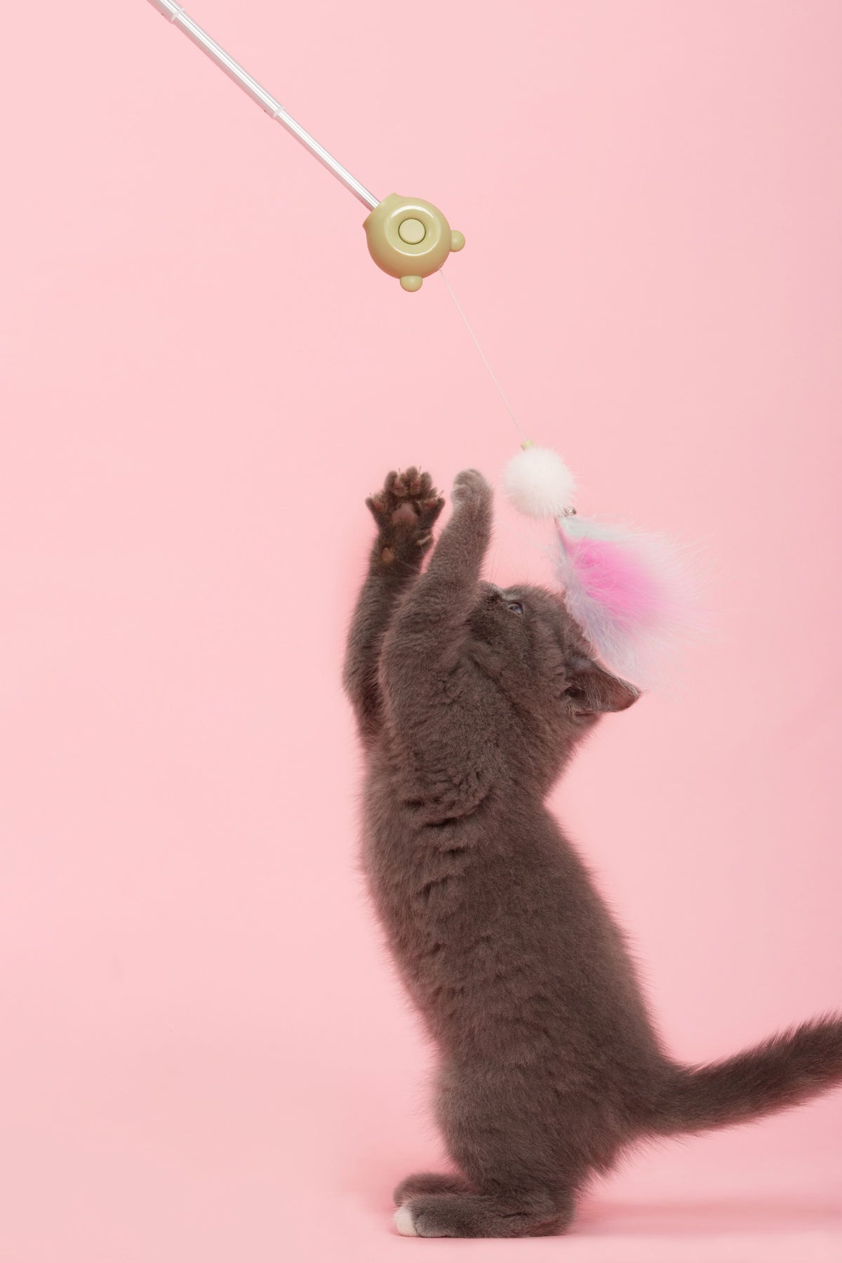 Pet Life KITIQUE 3-in-1 Cat Teaser Wand with Laser